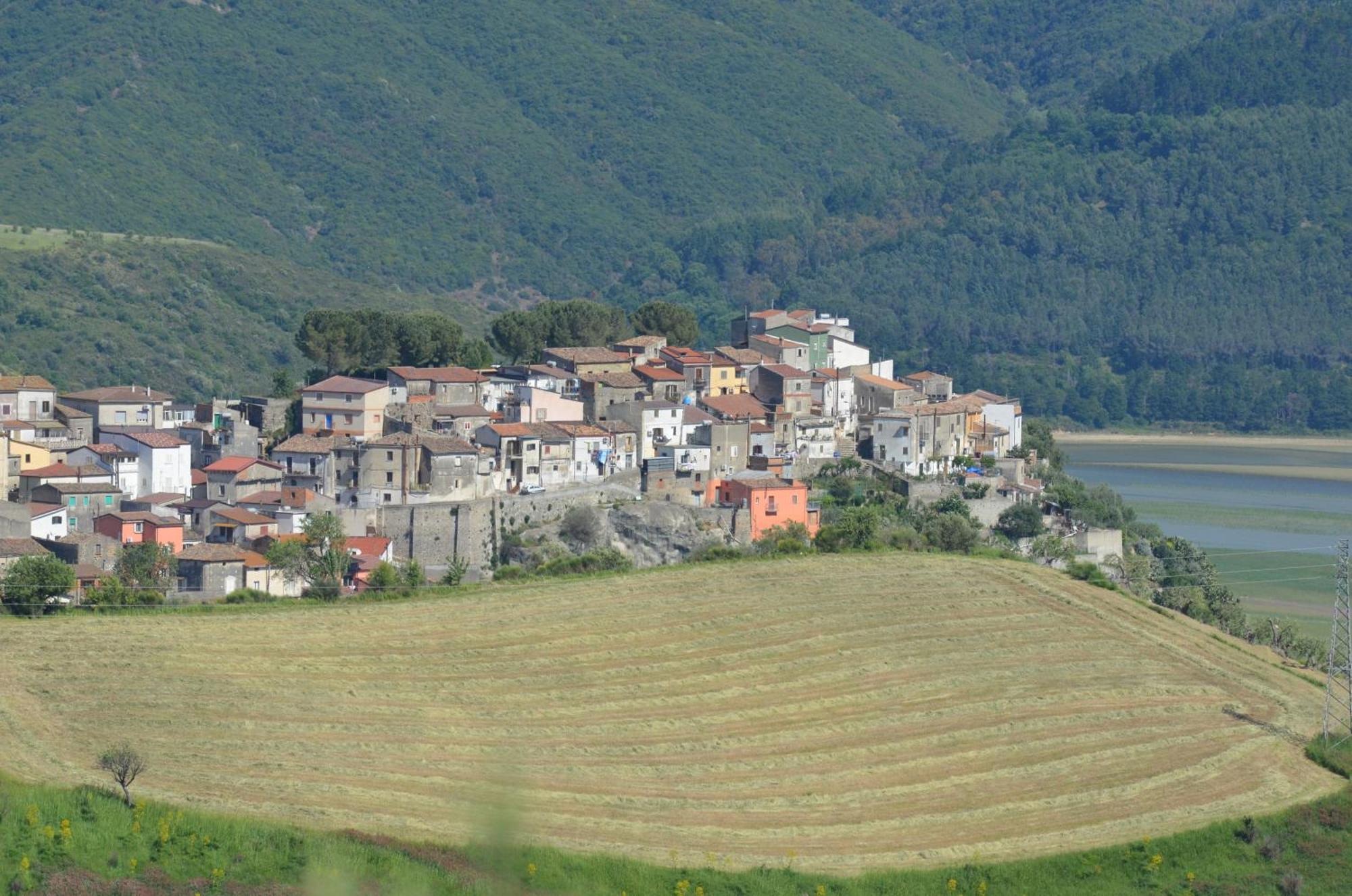 Toscano Tarsia